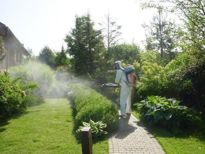 Как избавить свой участок от клещей и комаров?